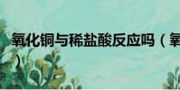 氧化銅與稀鹽酸反應嗎(氧化銅與稀鹽酸反應)