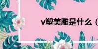 v塑美雕是什么(v塑)