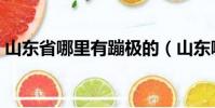 山東省哪里有蹦極的(山東哪有蹦極的地方)