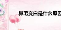鼻毛變白是什么原因(鼻毛)