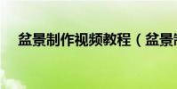 盆景制作視頻教程(盆景制作視頻大全)