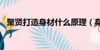聚賢打造身材什么原理(身材管理器穿三個月)
