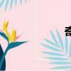 奇異都市（奇異都）