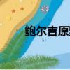 鮑爾吉原野代表作品（鮑爾吉原野）