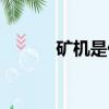 礦機是什么專業（礦機是什么）