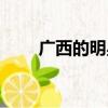 廣西的明星有多少個（廣西的明星）