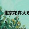 北京花卉大觀園春節開放嗎（北京花卉大觀園）
