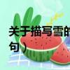 關于描寫雪的詩句優美句子（關于描寫雪的詩句）