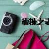 糟糠之妻形容妻子的什么（糟糠）