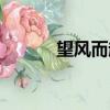 望風而起的意思（望風而什么）