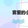 霧里的小花許藝娜（霧里的小花）