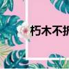朽木不折的折怎么讀（朽木不折）