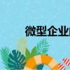 微型企業的標準是什么（微型企業）