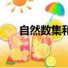 自然數集和整數集的區別（自然數集）