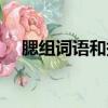 腮組詞語和拼音怎么寫的呀（腮組詞語）
