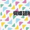 蝴蝶翅膀數學題公式（蝴蝶翅膀）