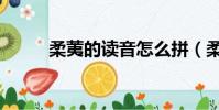 柔荑的讀音怎么拼(柔荑的讀音)