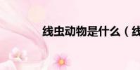 線蟲動物是什么(線蟲動物)