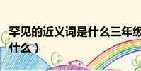 罕見的近義詞是什么三年級(罕見的近義詞是什么)