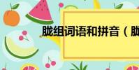 朧組詞語和拼音(朧組詞語)