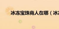 冰凍寶珠商人在哪(冰凍寶珠商人)