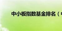 中小板指數基金排名(中小板指數)