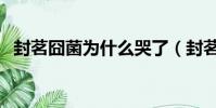 封茗囧菌為什么哭了(封茗囧菌怎么死的)