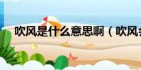 吹風是什么意思啊(吹風會是什么意思)