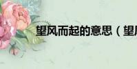 望風而起的意思(望風而什么)