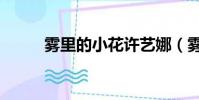 霧里的小花許藝娜(霧里的小花)