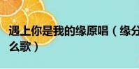 遇上你是我的緣原唱(緣分讓我認識了你是什么歌)