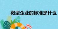 微型企業的標準是什么(微型企業)