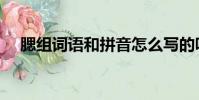 腮組詞語和拼音怎么寫的呀(腮組詞語)