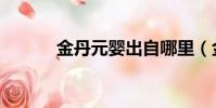 金丹元嬰出自哪里(金丹元嬰)