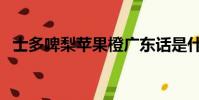 士多啤梨蘋果橙廣東話是什么意思(士多)