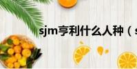 sjm亨利什么人種(sjm亨利)