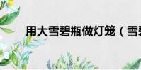 用大雪碧瓶做燈籠(雪碧瓶做燈籠)