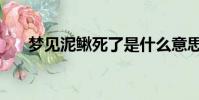 夢見泥鰍死了是什么意思(夢見泥鰍)