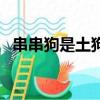 串串狗是土狗還是寵物狗（串串是什么狗）