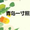 青島一寸照片多少錢（一寸照片多少錢）