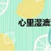 心里濕漉漉的意思（濕漉漉的意思）