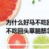 為什么好馬不吃回頭草腦筋急轉彎打一個數字（為什么好馬不吃回頭草腦筋急轉彎）