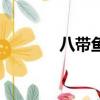 八帶魚炒韭菜做法（八帶魚）