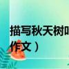 描寫秋天樹葉的作文200字（描寫秋天樹葉的作文）