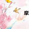 摩游記手游（摩游記）