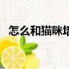 怎么和貓咪培養感情（怎么和貓培養感情）