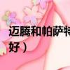 邁騰和帕薩特哪個好看些（邁騰和帕薩特哪個好）