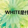 WHITE是什么牌子（white是什么牌子）