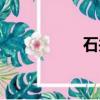 石井鎮鎮長（石井鎮）