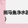 斑馬魚凈水器嘉興店電話號碼（斑馬魚凈水器）